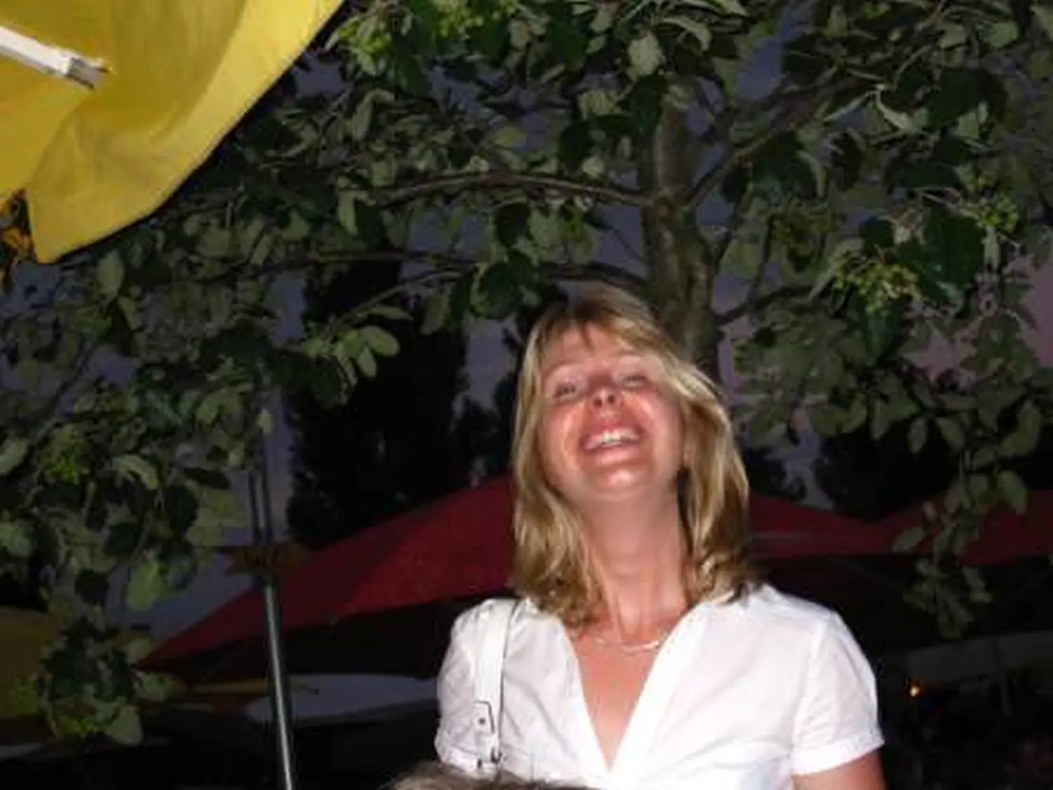 Reichenau 2008 von Längestadl
