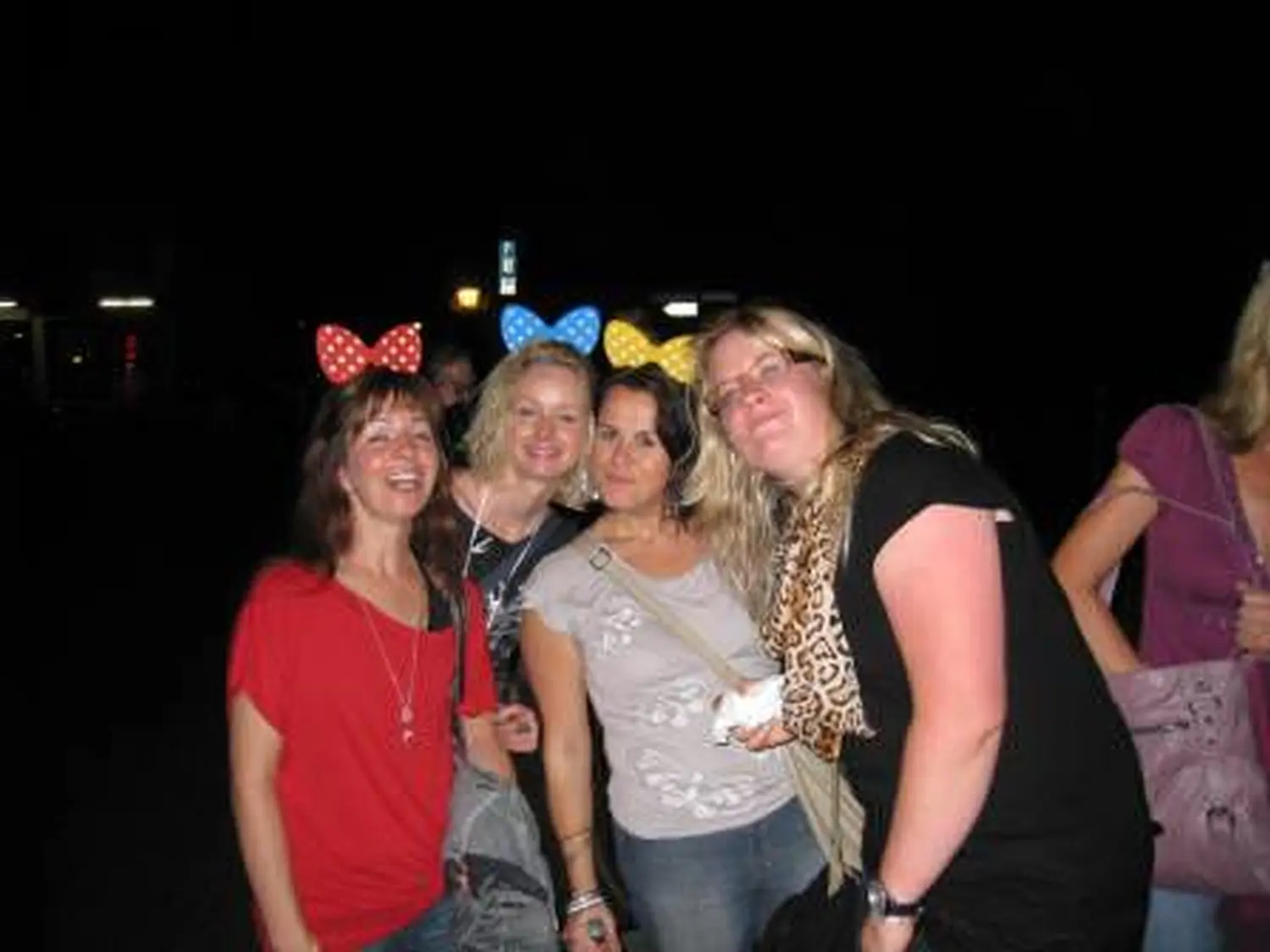Reichenau 2011 von Längestadl