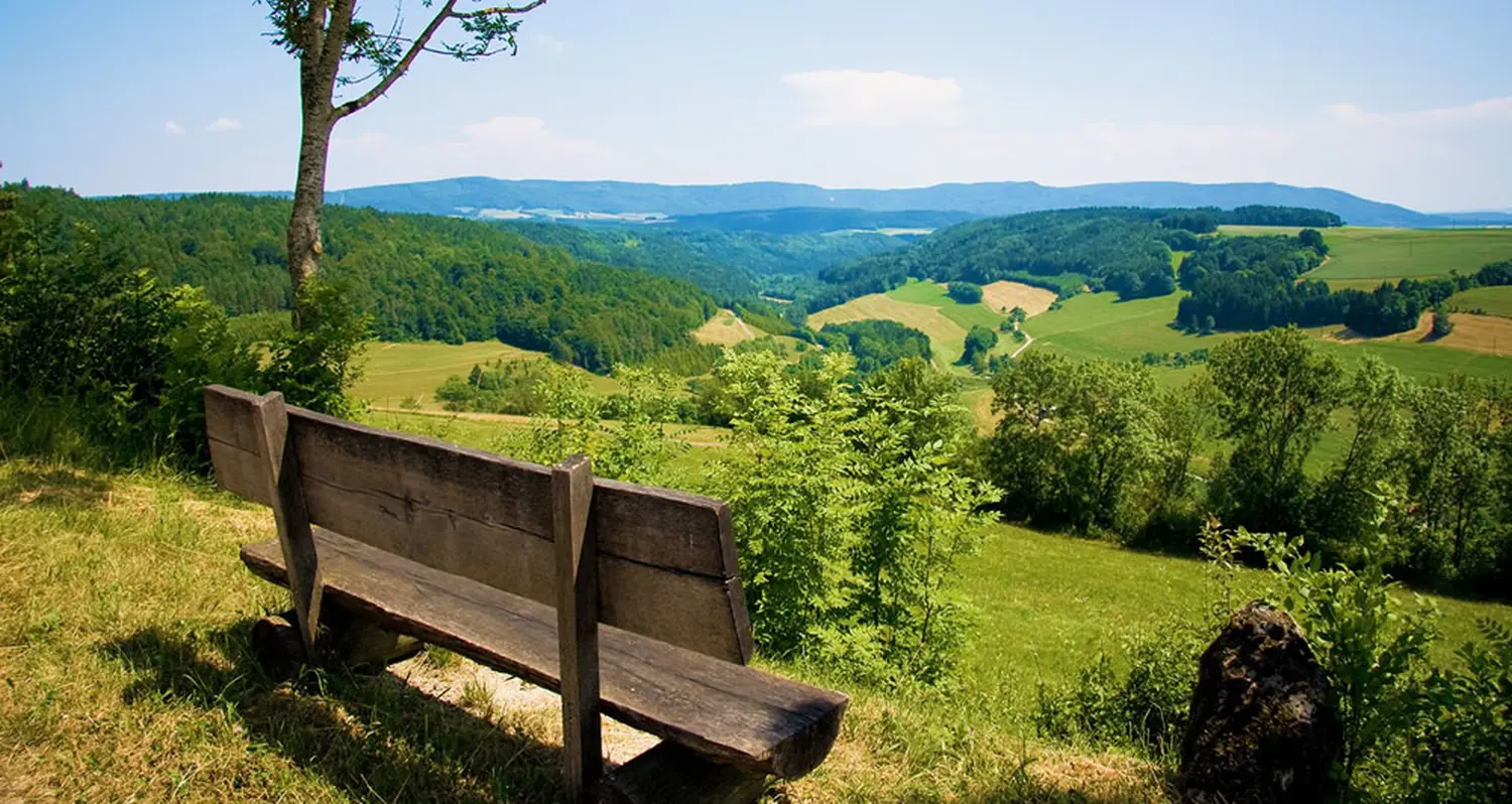 Ein malerischer Blick auf eine bewaldete Hügellandschaft, typisch für den Schwarzwald im Südwesten Deutschlands.